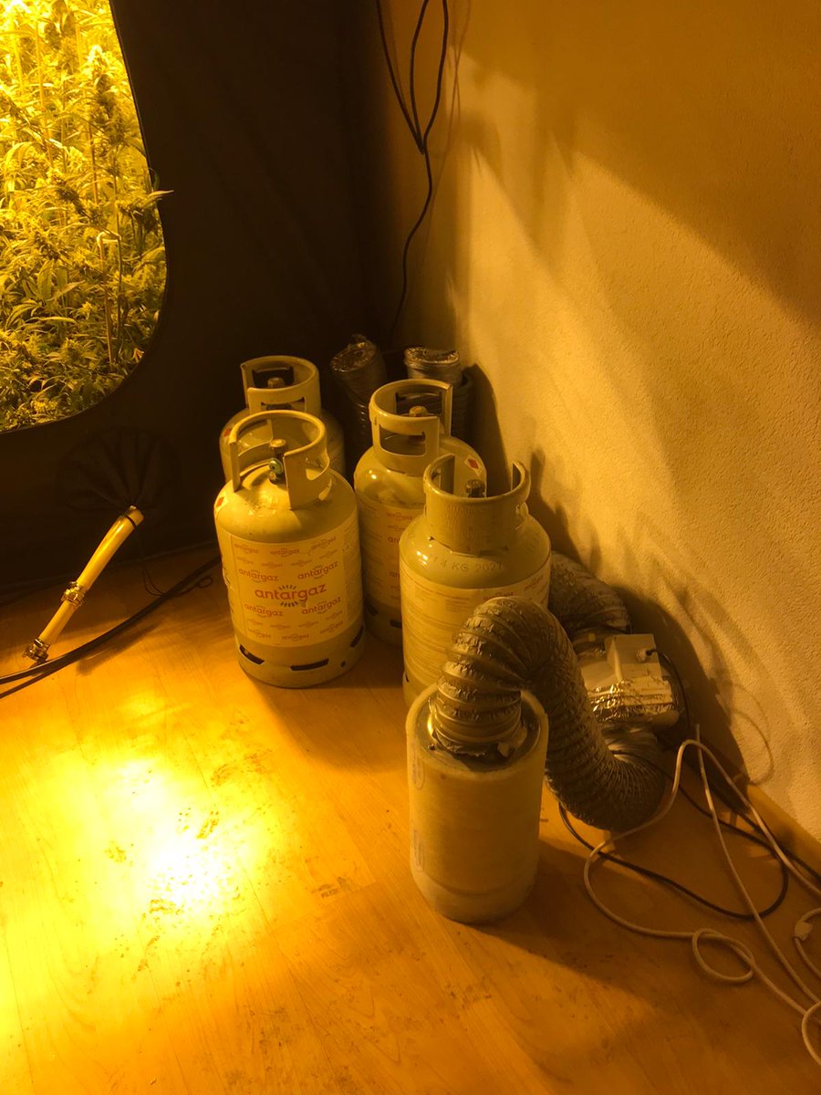 Bij een bedrijfspand gaat het inbraakalarm af. Wanneer de politie op onderzoek uitgaat, wordt een professionele #hennepkwekerij ontdekt.