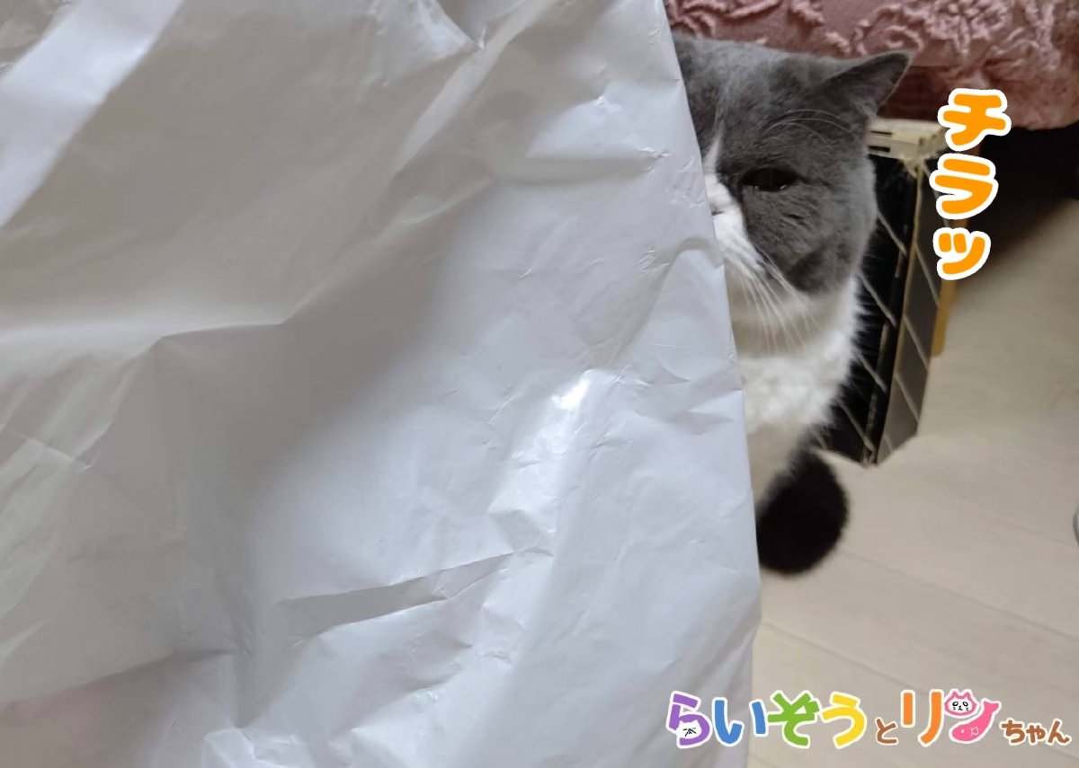 行徒 Yukit0o0 Twitter