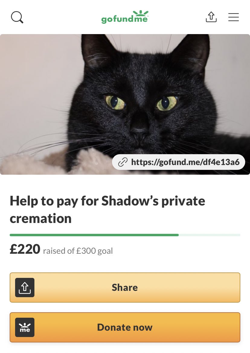 shadowmoonco's tweet photo. I just wanted to say a huge thank you to everyone who has donated, shared or made an order over the past 4 days.

You’ve made it possible to get my baby home where she belongs.

We are so close to our goal and would love to reach it if possible. 🖤

https://t.co/M0igxHK80I https://t.co/QwIlZmJrrj