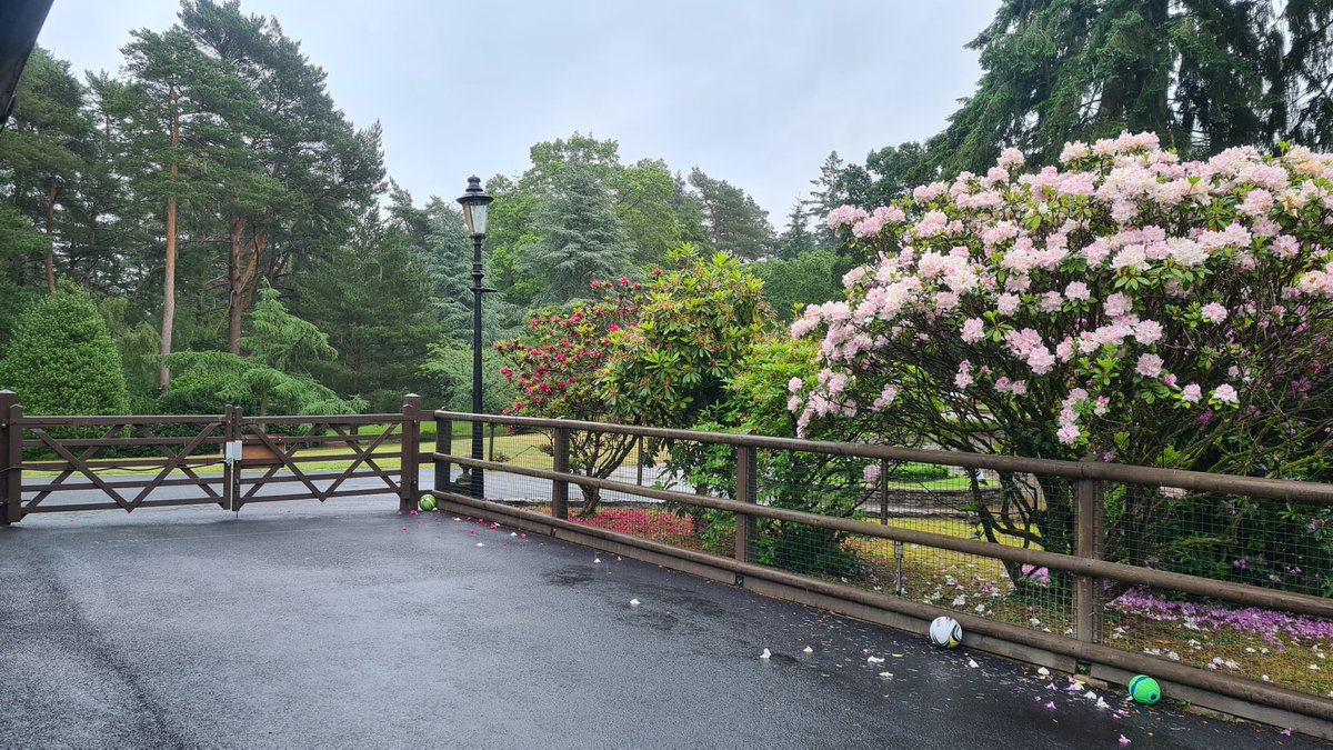 It's pouring here but the students are happily getting on with their day and the view is as beautiful as ever!  #SEN #SEMH <a href="/NazyaaG/">Nazya</a> @QTSLondon <a href="/Joelsmith288/">Joel Smith</a> <a href="/MattSilverEdu/">Dr Matt Silver</a>