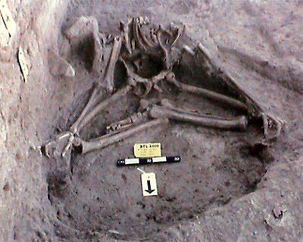 indianrightwing's tweet photo. This is skeleton of a yogi who was buried in Padmasana position. The history of Yoga is from Hinduism.

It was found in Balathal, Rajasthan and is calculated to be from 700 BCE.

#YogaIsHindu https://t.co/RRNfabARja