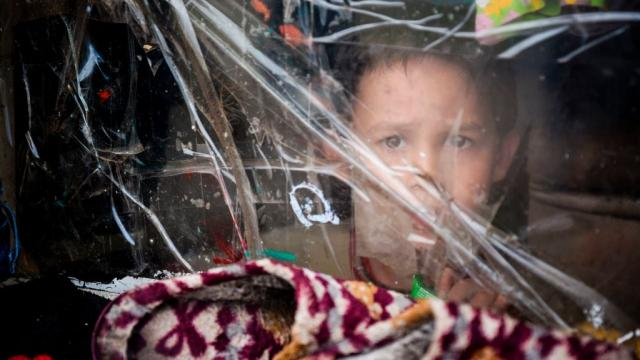 thehill's tweet photo. Expanding child tax credit could lift 4 million children out of poverty: analysis https://t.co/uIX3ay4umP https://t.co/z0N2ue6Hsv