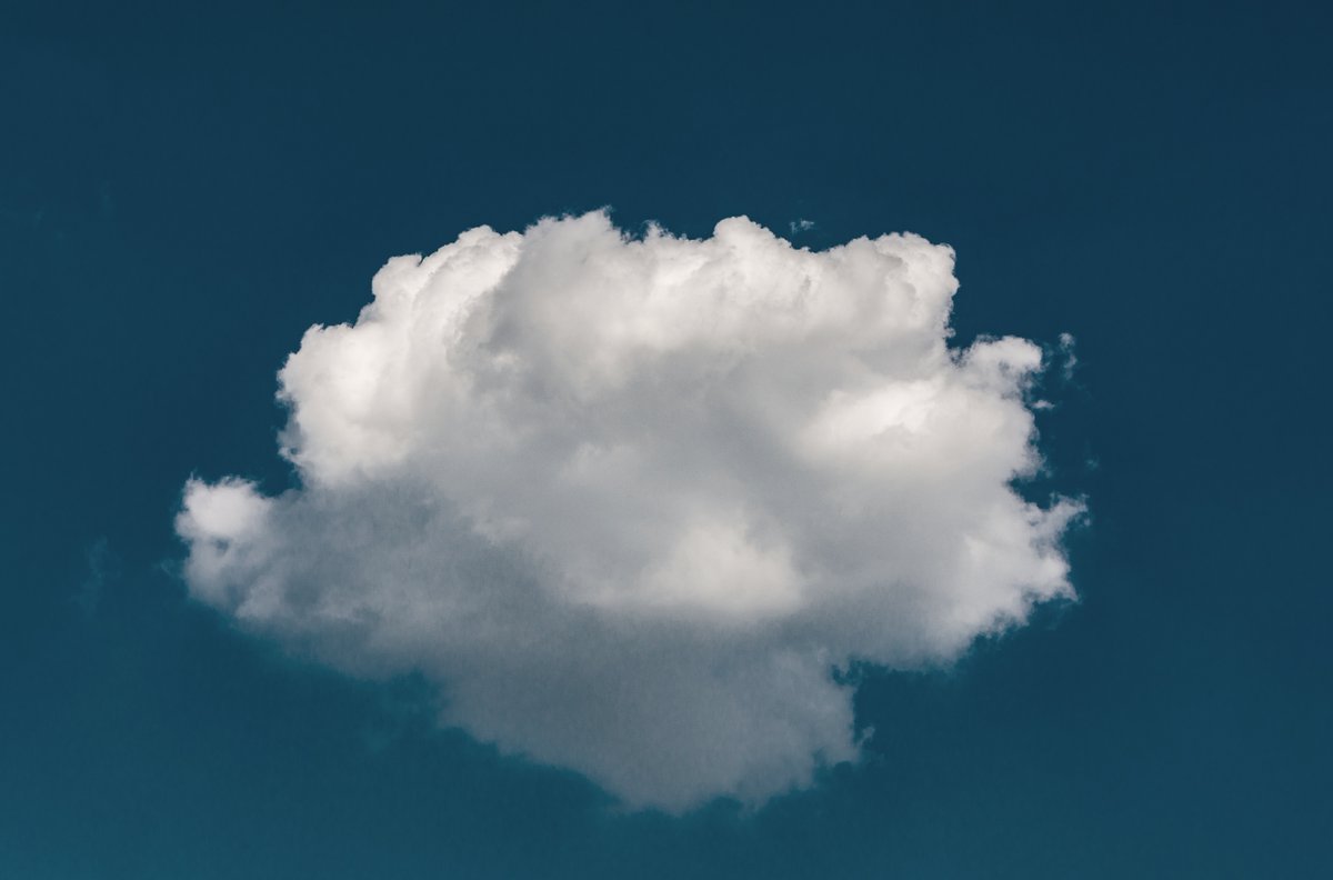 Whitehat Analytics tweet media