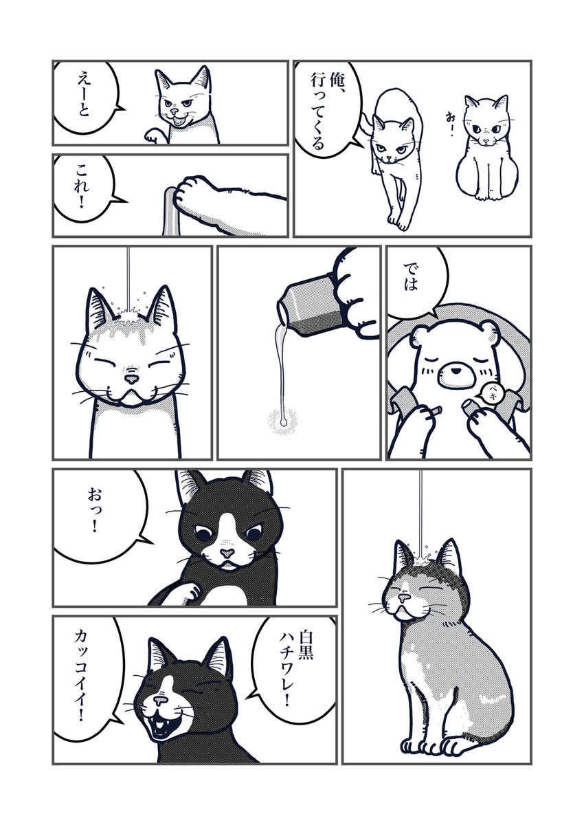 「猫の柄の話し」①
#まいどな漫画大賞2021 