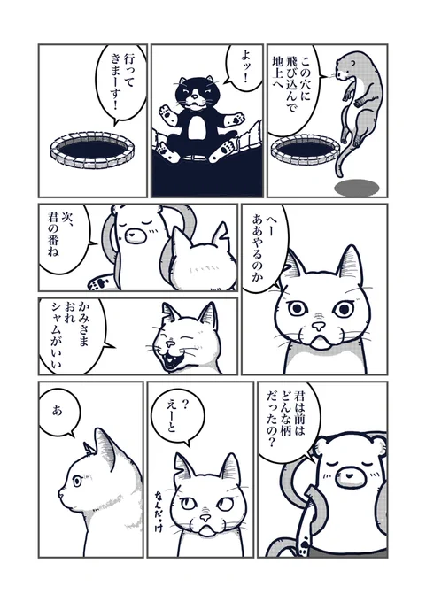 「猫の柄の話し」②#まいどな漫画大賞2021 