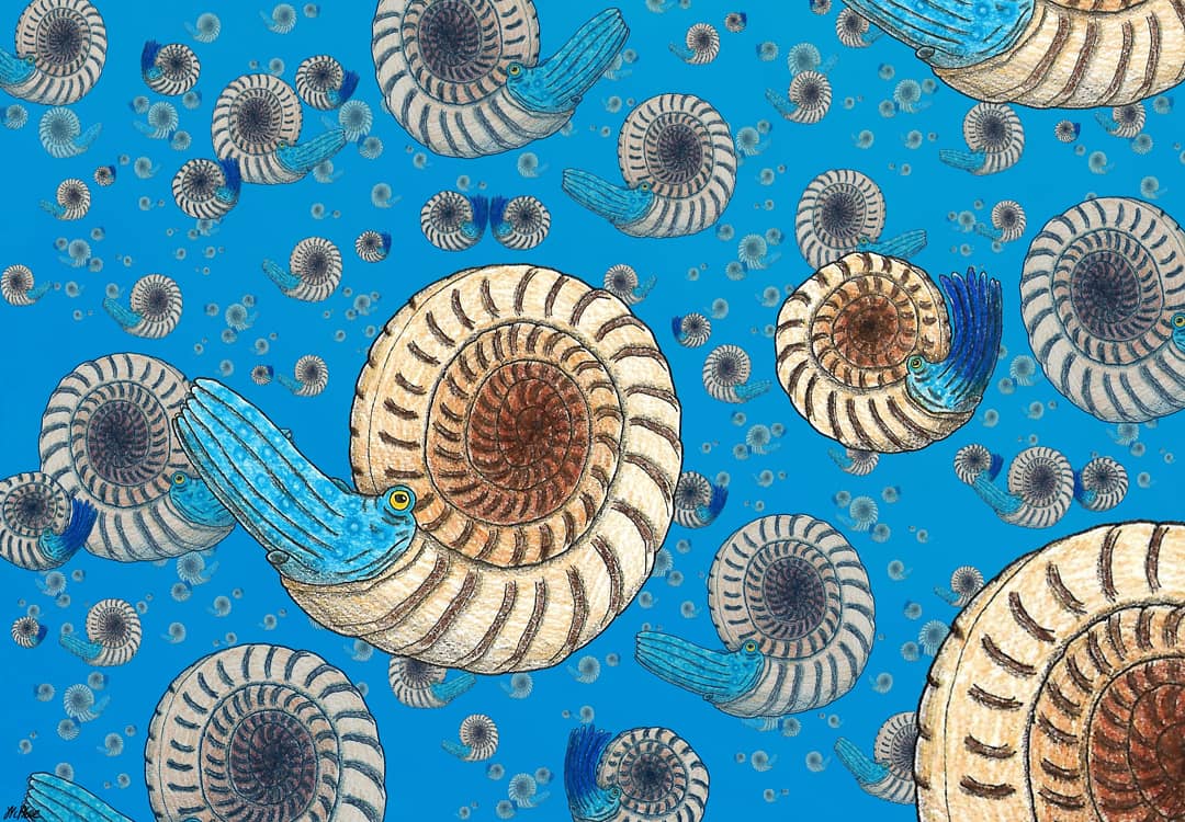 ATiredPterosaur's tweet photo. I recently did a piece for #AmmoniteWeek directly inspired by the findings at the ammonite pavement. It's great to have finally seen it in person, and awe-inspiring to imagine so many ammonites at this spot in a similar scene. https://t.co/oZeGs98RXe