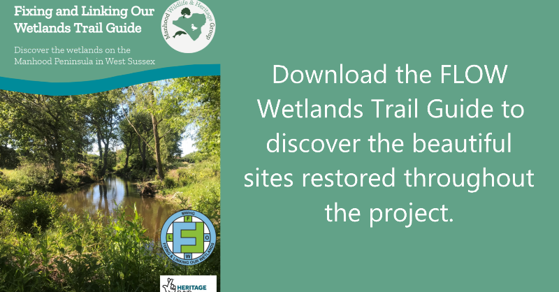 Looking for a new walking route? Download our new trail which tours the scenic parishes of the Manhood Peninsula, in #WestSussex, and the beautiful wildlife ponds restored by the #FLOW Project.

This trail is free to download from our Walks &amp; Trails page: mwhg.org.uk/walks-and-trai…