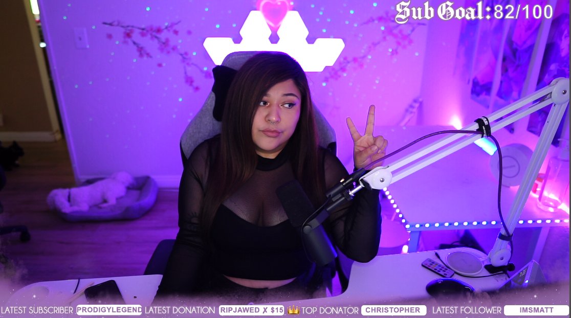 I'm BACK!

We're live at twitch.tv/wildfox <3 come say hi? :D