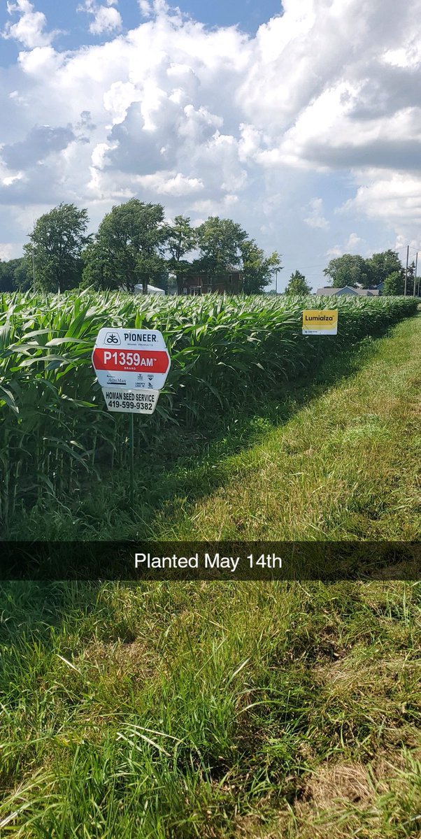 The Pioneer corn revolution at its best in Henry county near Napoleon, Ohio! Thanks to Homan seed service for this pic!