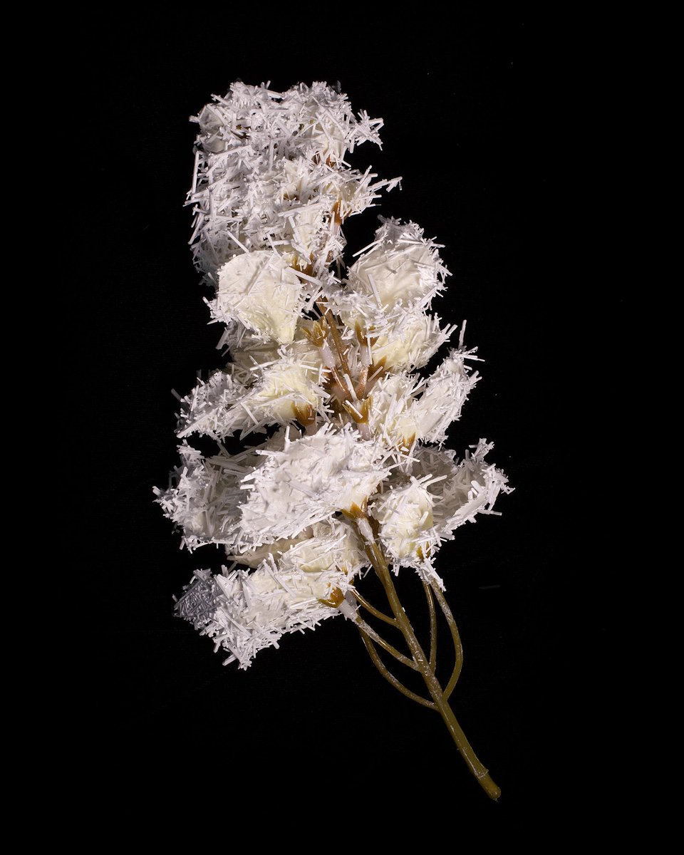 MfaReviews's tweet photo. Deadline is fast approaching: “Homecoming 2021.”  Featuring Chelsea Taylor - https://t.co/4XosZTfpHZ
@FujifilmX_US @realphotoshow @BooksmartStudio #floatphotoMagazine #jkcgallery #mfaphotographyreviews #portfoliofeature #fujifilmgfx #studentopportunity #photographygraduate https://t.co/xaesTQD9AA