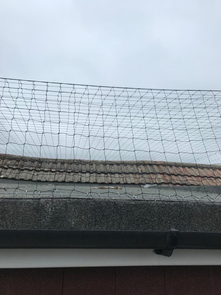 PestHf's tweet photo. Another job well done! A customers roof in Bletchingly, they had pigeons roosting on their roof  so a little netting a spiking with move them pesky critters along!
.
.
.
#netting #birdcontrol #pestcontrol #pestcontroller #ukpestcontrol #pestandbirdcontrol #profession https://t.co/mascduTUfU
