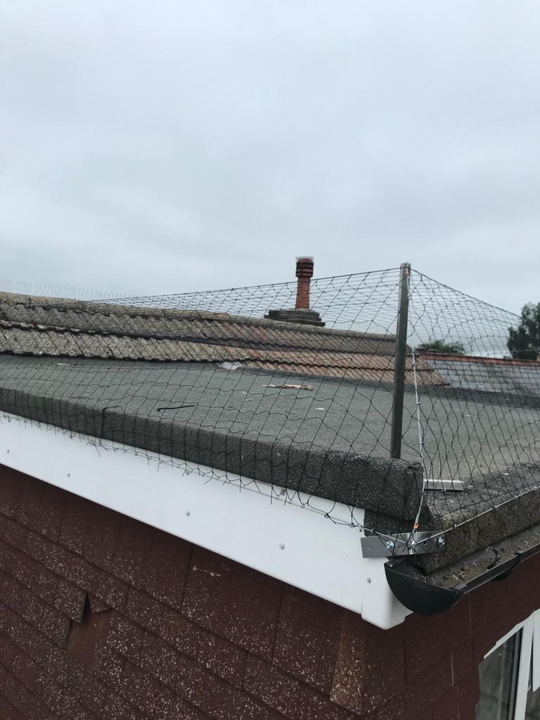 PestHf's tweet photo. Another job well done! A customers roof in Bletchingly, they had pigeons roosting on their roof  so a little netting a spiking with move them pesky critters along!
.
.
.
#netting #birdcontrol #pestcontrol #pestcontroller #ukpestcontrol #pestandbirdcontrol #profession https://t.co/mascduTUfU