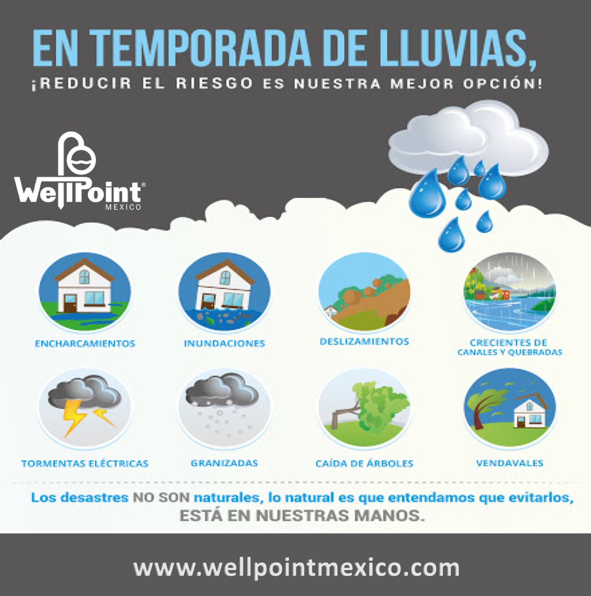 En esta temporada de lluvias toma tus precauciones
 
¡Reducur el riesgo es nuestra mejor opción!

#WellpointMéxico
#Temporadadelluvias
#Lluvias
#Tormentas
#Inundaciones