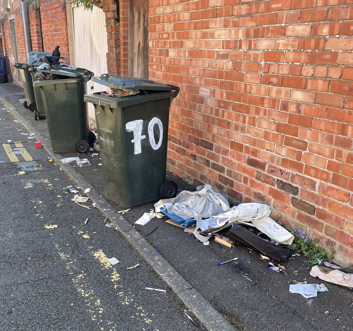 EndASBinJesmond's tweet photo. At least the bird life are happy with the HMO rubbish offerings. Clean up your act!! #Studentslums #RewildingJesmond @NCC_Leader @JesmondStella @UniofNewcastle, @NorthumbriaUni, @NewcastleCC, @ChronicleLive #myNCLpics https://t.co/iiUhGLAfXW