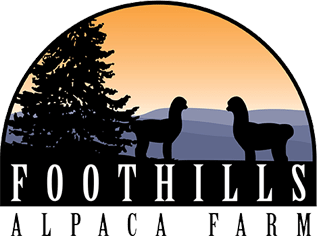 Do you live in Arizona? Check out <a href="/Foothills/">Foothills</a> Alpaca Farm they carry #alpacasocks wonderful for this warm weather they are #Moisturewicking and #TemperatureRegulated they are located on  Tonto Circle, Cherokee Village zipcode 72529 or give them a call at 6125812006.