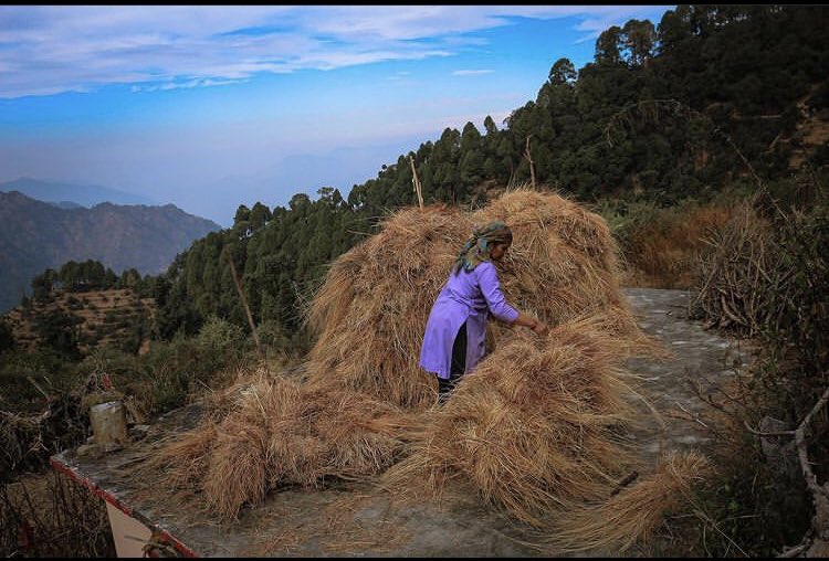 Uksouls's tweet photo. #उत्तराखंड_मांगे_भू_कानून 
#Uttarakhand 
#nature https://t.co/ALOr8oMBj3