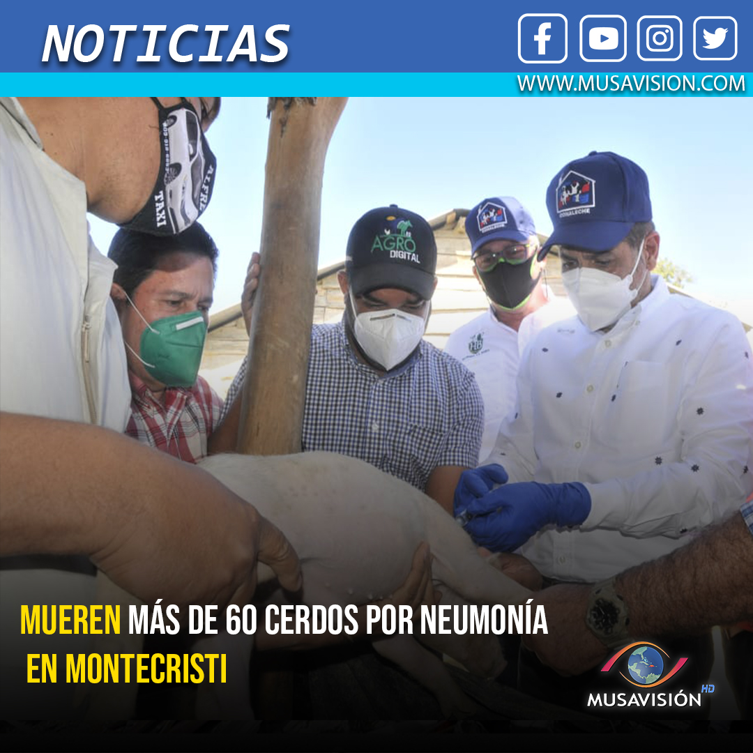Musavision10's tweet photo. Santo Domingo.- Tan pronto como medios alertaron sobre las muertes de decenas de cerdos en Montecristi, alejadamente por una extraña enfermedad, el ministro de Agricultura, Limber Cruz, activó el protocolo del Departamento de Sanidad Animal. https://t.co/6WjClZ4JCq