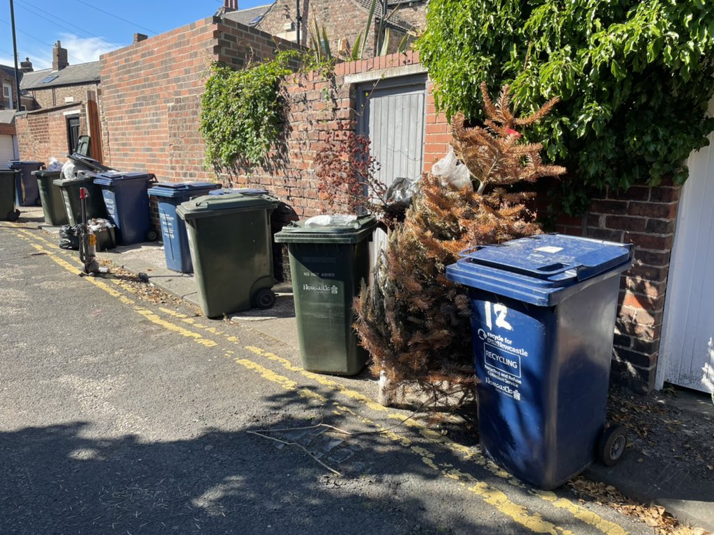 EndASBinJesmond's tweet photo. The Christmas tree edition! Late, lazy HMO student clearouts #StudentSlums #myNCLpics #RewildingJesmond @NCC_Leader @EndASBinJesmond @UniofNewcastle, @NorthumbriaUni, @NewcastleCC, @ChronicleLive https://t.co/GRh36EDAaM