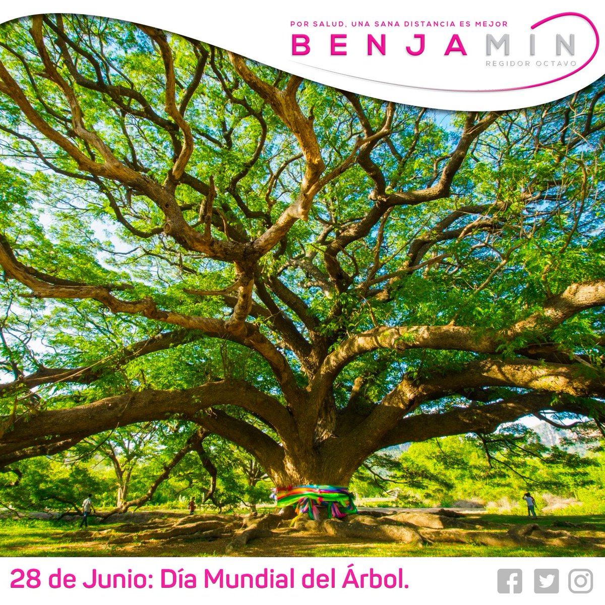 Benjamín Sánchez (@benjaminsanzflo) on Twitter photo 