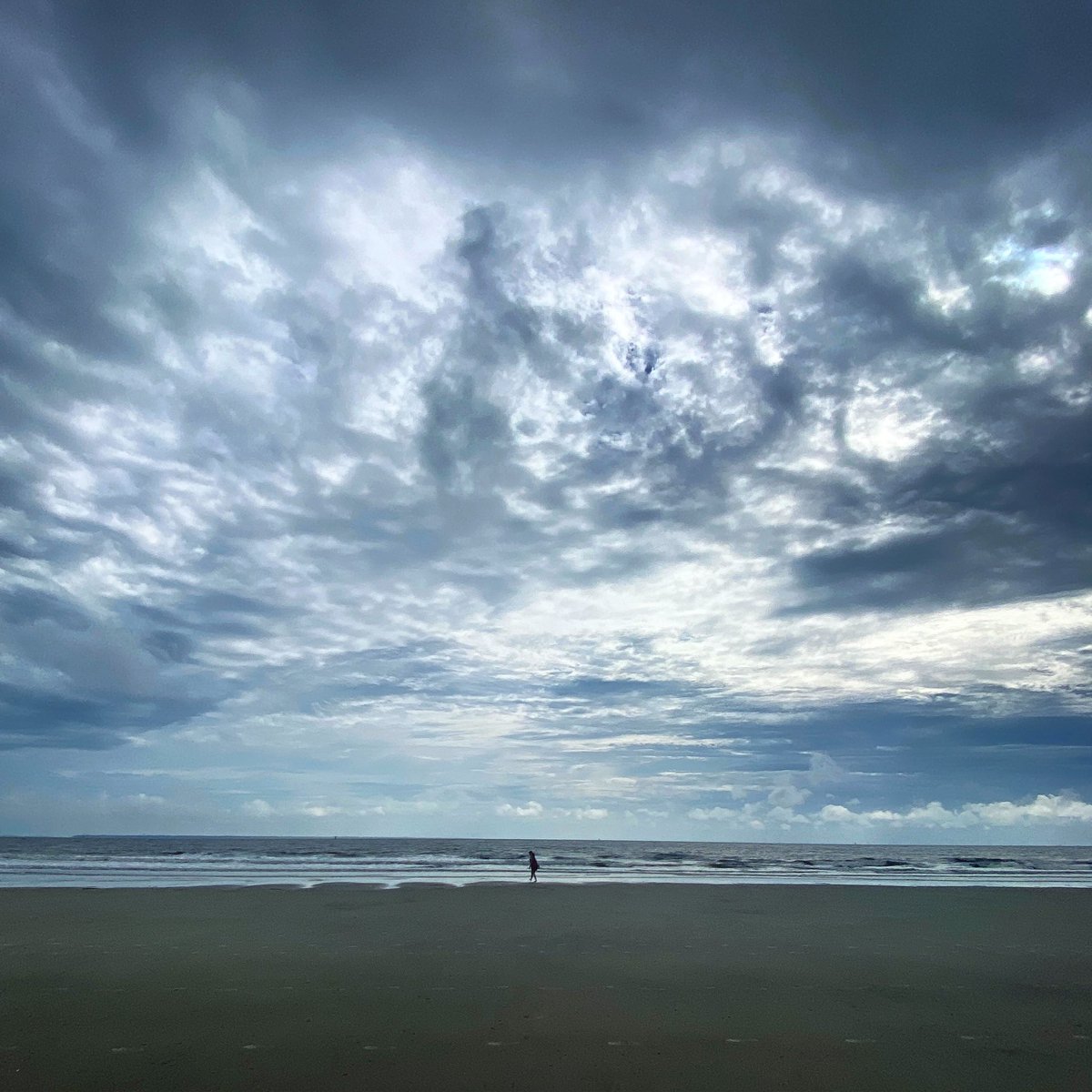 mvh_art's tweet photo. Back in one of our favorite places on earth. Rain or shine, we’re so happy to be soaking it all in! 🌊 #NaturePhotography #visitTybee #tybeetime #travelphotography https://t.co/uJdXFFZ3Jj