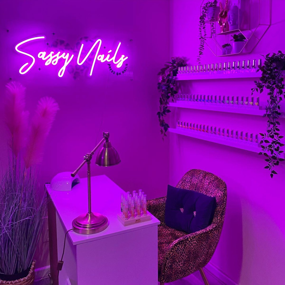 Layla🧞‍♀️ tweet media