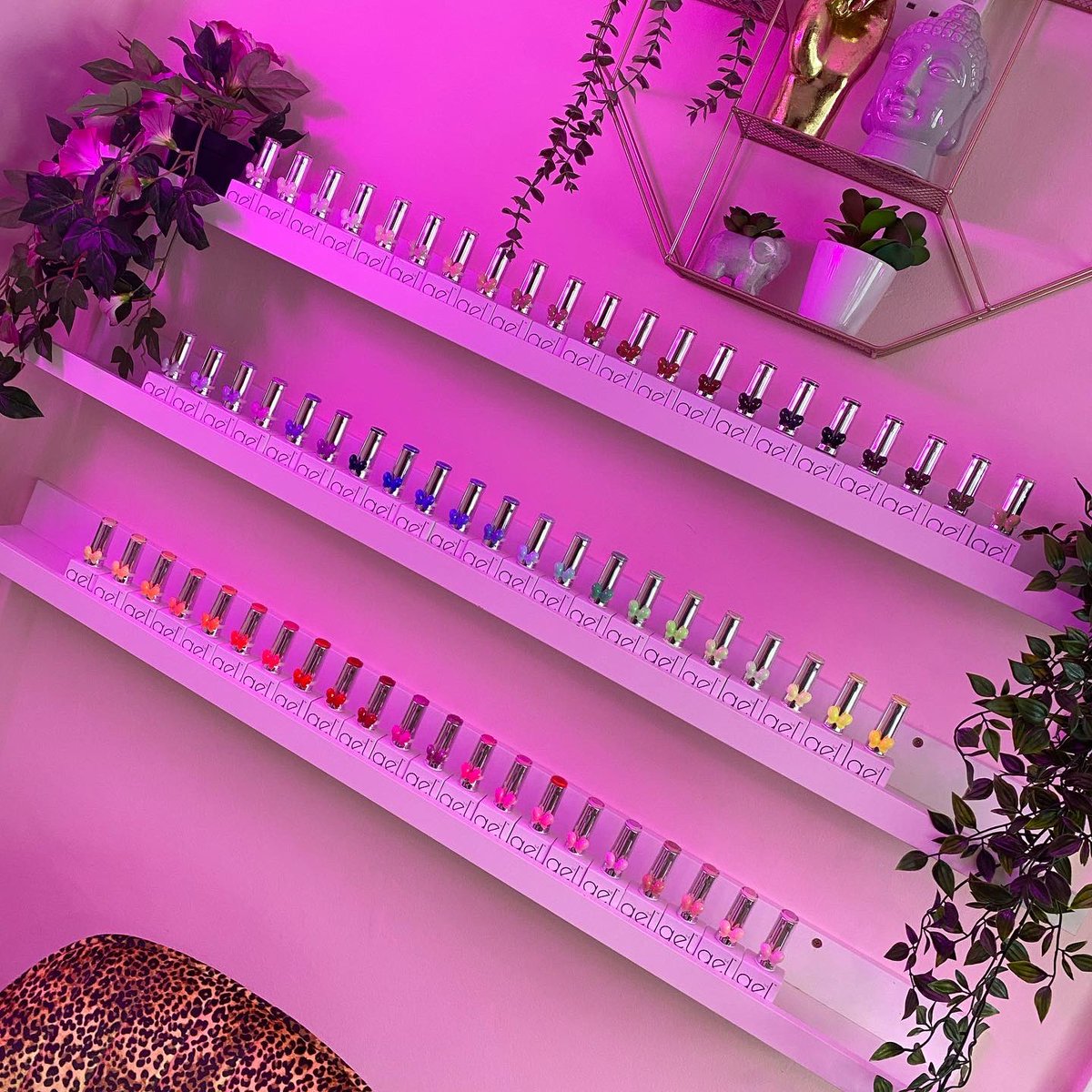 Layla🧞‍♀️ tweet media