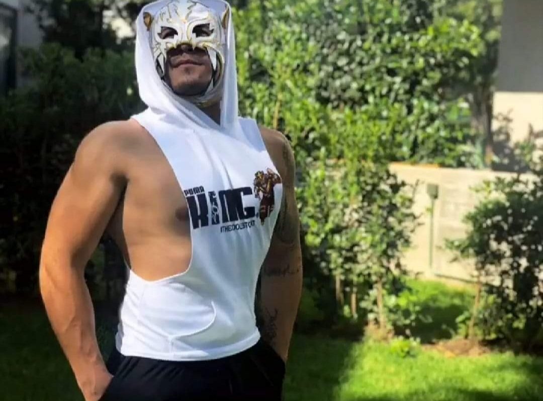 Luchatoon Luchatoon Twitter