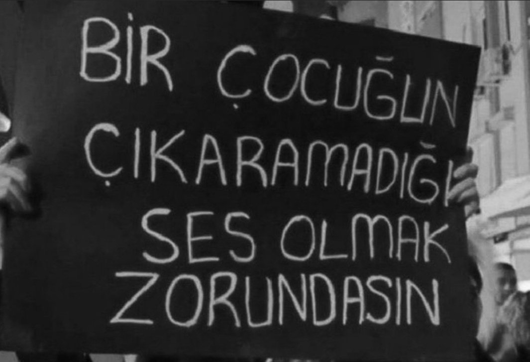 Çocuklar susar biz susmayalım, Leş zihniyetinizi Pis ellerinizi çocuklardan çekin. #elmalıdavası