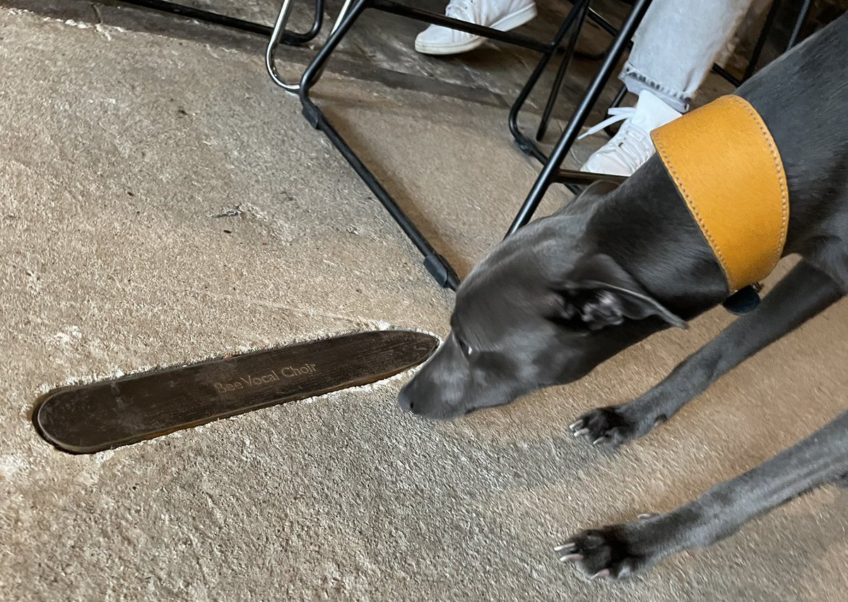 Dan McDwyer tweet media