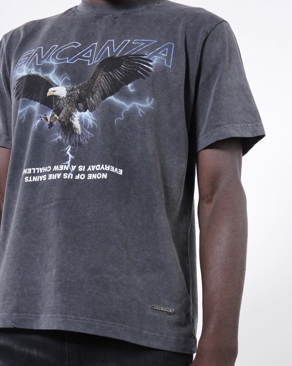 encanza's tweet photo. KING OF THE SKIES 🦅T-shirt coming soon. Subscribe to our newsletter for early access. https://t.co/llvEmZR5py