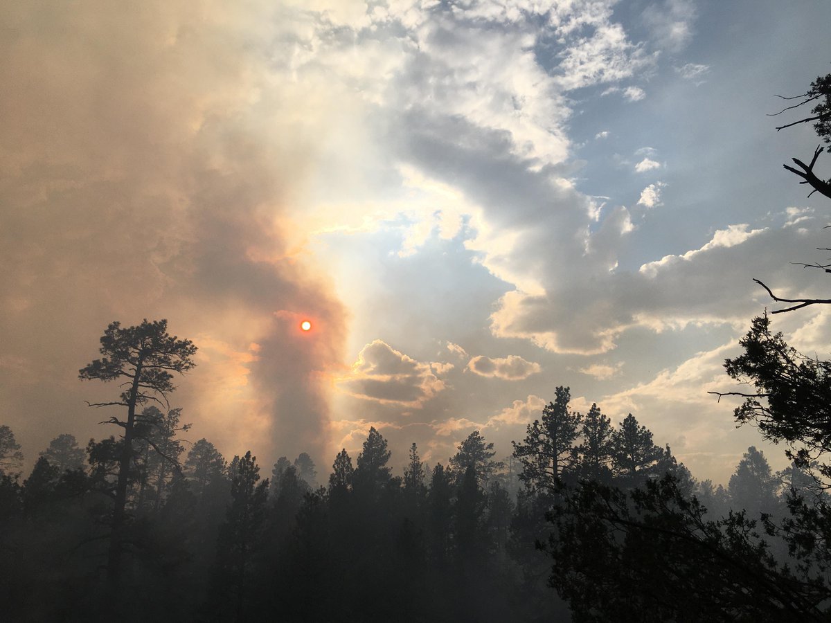 KaibabNF's tweet image. NOTE: Smoke is expected in the Williams, AZ area today from the #RafaelFire. Stay informed with the Rafael Fire at inciweb.nwcg.gov/incident/7567 and @RaphaelFireInfo.