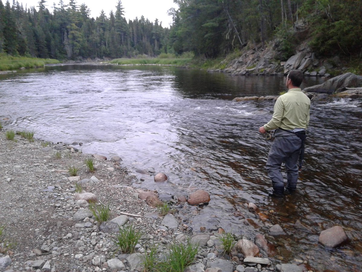 Josh Kurek tweet media