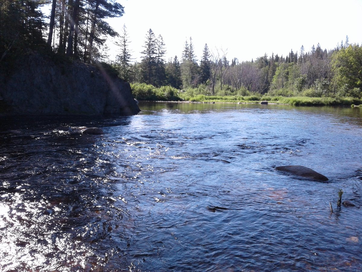 Josh Kurek tweet media