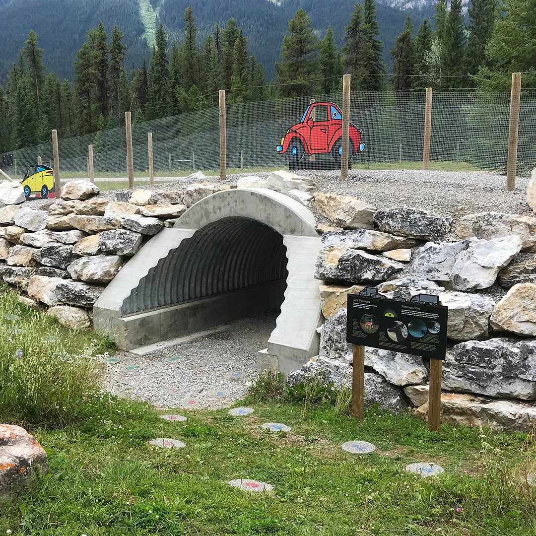 School’s out for summer! What a great time to visit the Dolly Varden day use area in Kootenay National Park to learn how animal crossings made from Corrugated Structural Steel Plate are keeping our wildlife safe. 
#MultiPlate #Banff #Alberta #Kootenay #ParksCanada