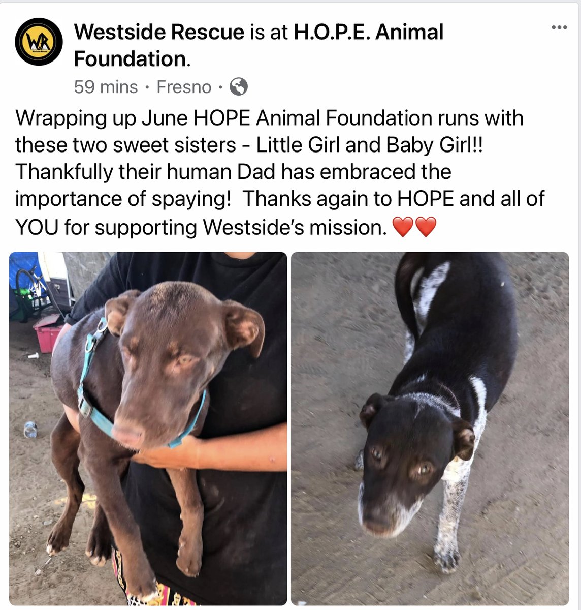 Westside Rescue (@WestsideRescue) / Twitter Westside Rescue (@WestsideRescue) / Twitter