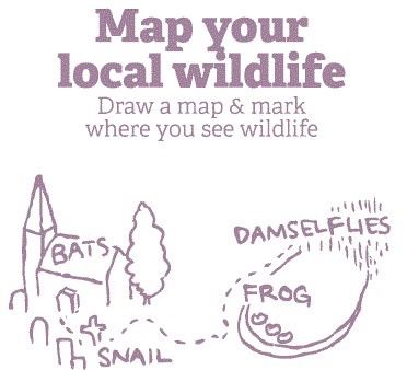 Phoenix Charity tweet media