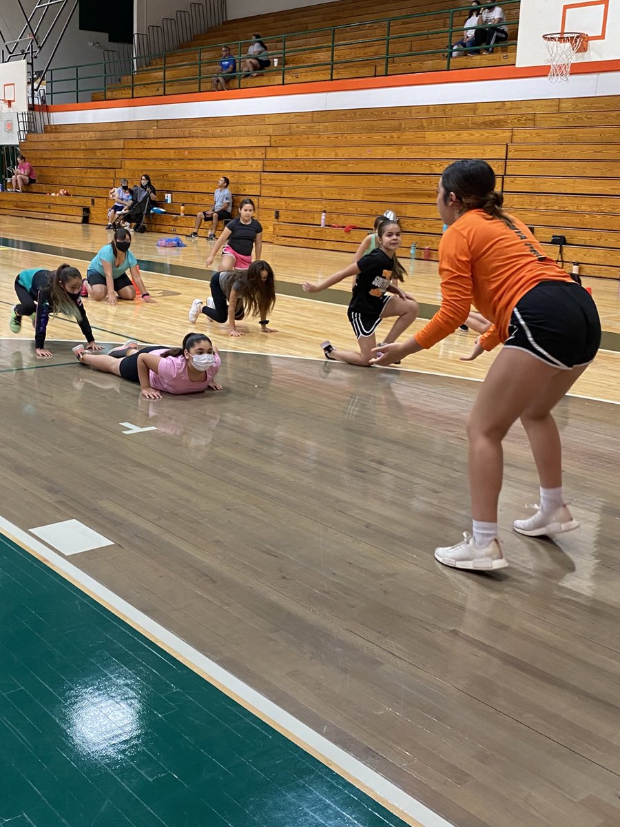 ladyhawk_vb's tweet photo. 1st-6th grade Campers learned Passing and Setting skills on their 1st Dayπ§‘π@HarlingenCISD @HHSSouth #SouthVB #VolleyballCamp #VolleyTots https://t.co/aVbLFbgWRI
