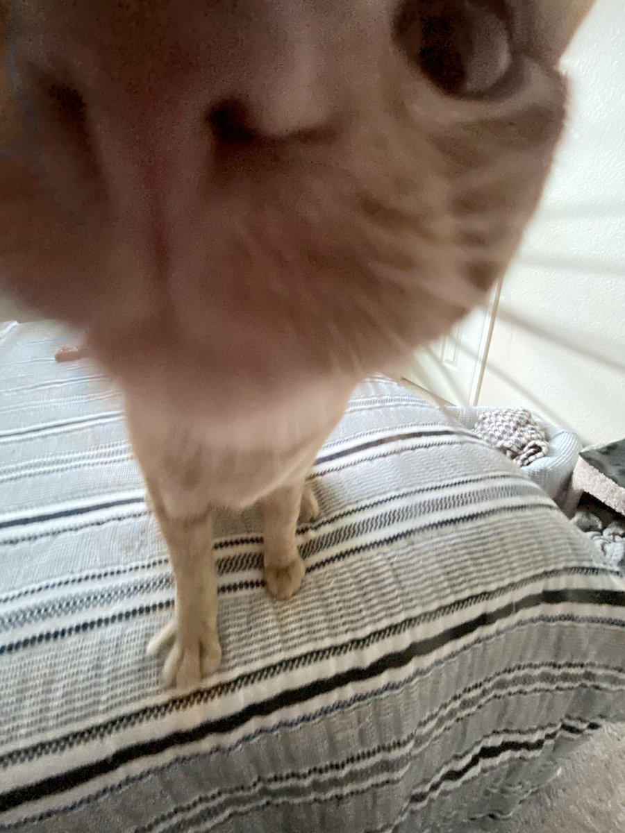 ᵈᵒ ᵘ ʰᵃᵛᵉ ᵍᵃᵐᵉˢ ᵒⁿ ᵘʳ ᵖʰᵒⁿᵉ