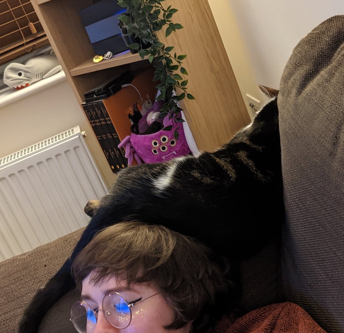 oursupercomic's tweet photo. 🐈 https://t.co/t7XFYDsX3z