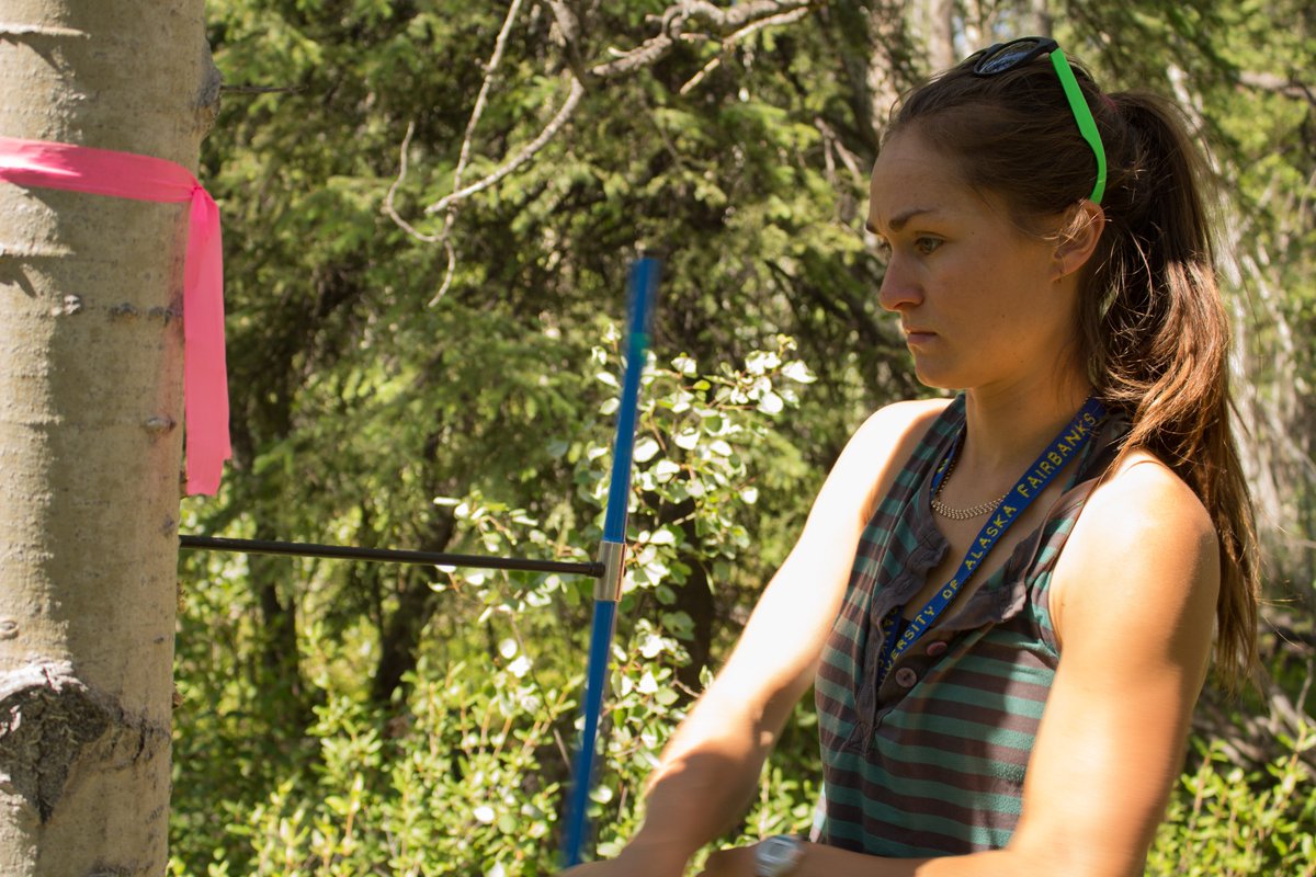 EcossNau's tweet photo. #Drought—even in a single year—can leave aspen more vulnerable to insect infestation and other stressors decades later. It's a possible preview of these forests' future. by @Boyd_M_A @M_C_Mack @logan_berner
@LadyFortran Scott Goetz Brendan Rogers @WalkerXJ
https://t.co/DnCq9m2Odk https://t.co/0YiX9F8tvX