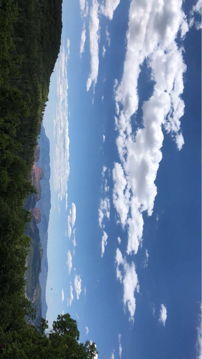 mckrae11's tweet photo. Head for the mountains https://t.co/puxJFqUZwy