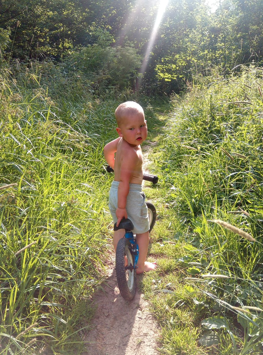 KockaSkliba's tweet photo. Život za vsí má několik výhod, třeba že to máme blízko do lesa. A...
...a...
...a...
...a...
...a taky to máme blízko do lesa 😂

#zivotnavsi #banditě #summertime https://t.co/mJ1yRBdeVh