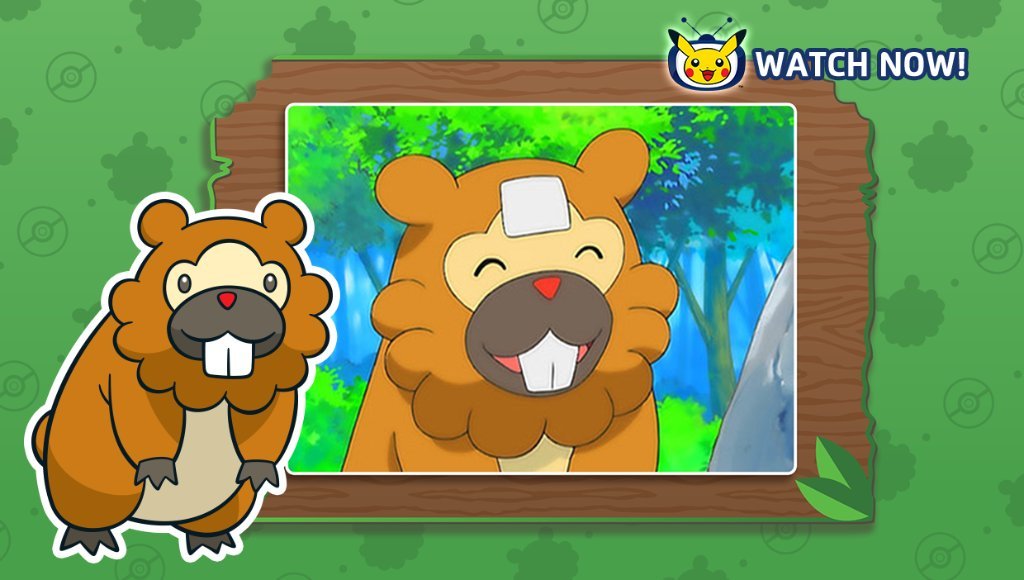 Día de Bidoof