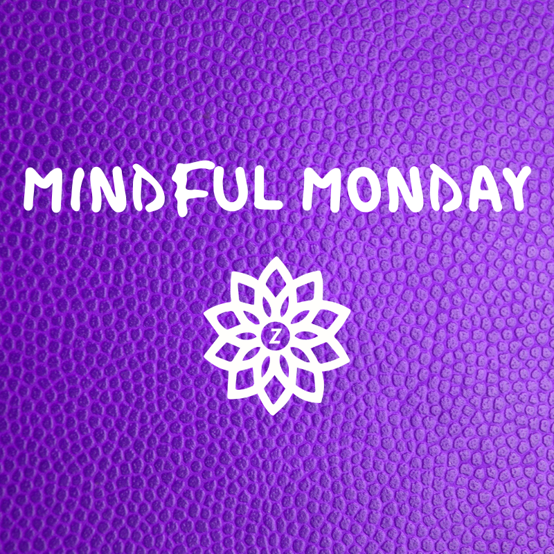 ZesaWellness's tweet photo. The best way to capture moments is to pay attention. This is how we cultivate mindfulness. -Jon Kabat-Zinn 
#mindful #monday #attention #how #to #practice #mindfulness https://t.co/OqESn9tRzR