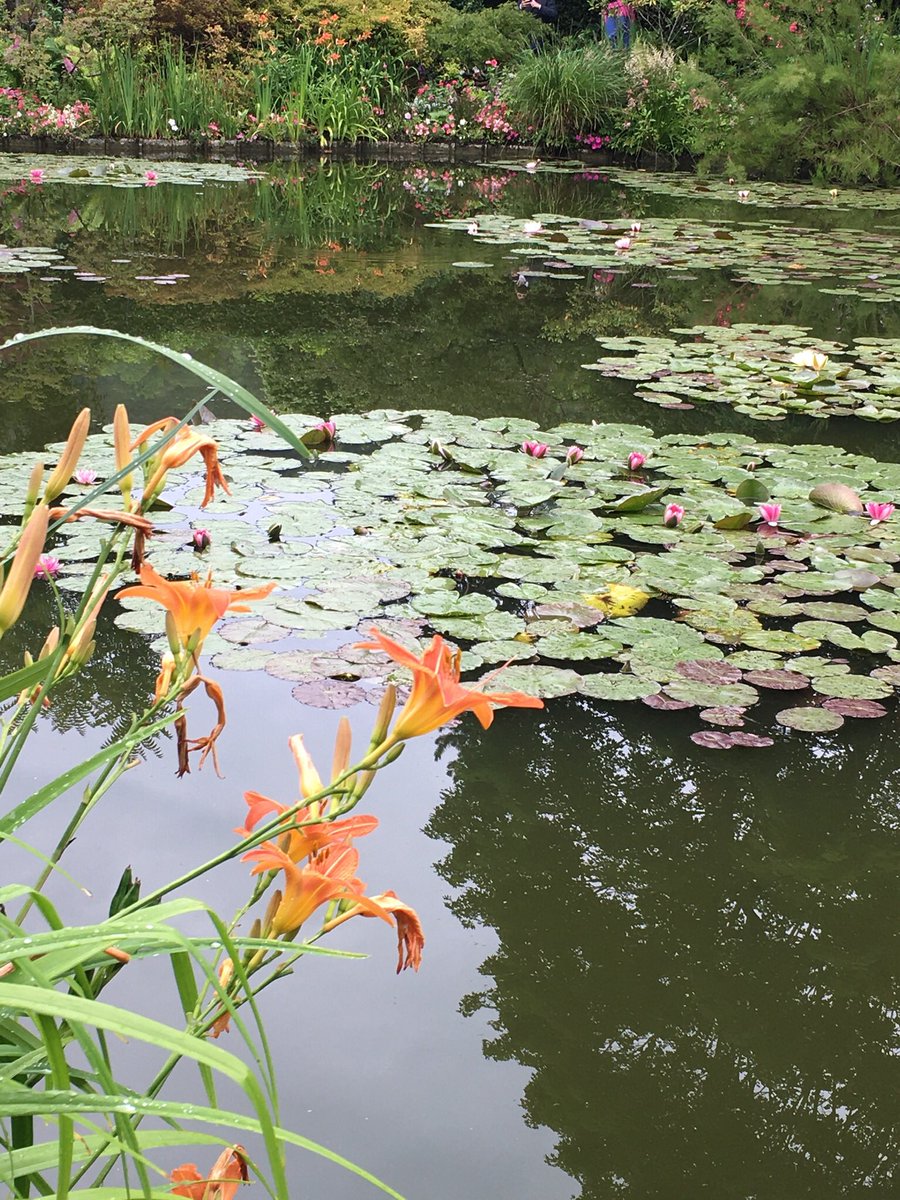 prune91833912's tweet photo. Balade fleurie dans  les jardins de Giverny - maison du peintre Claude Monet
#giverny #claudemonet #impressionism #peinture #impressionnisme #Normandie #France https://t.co/loZqPdwT2M