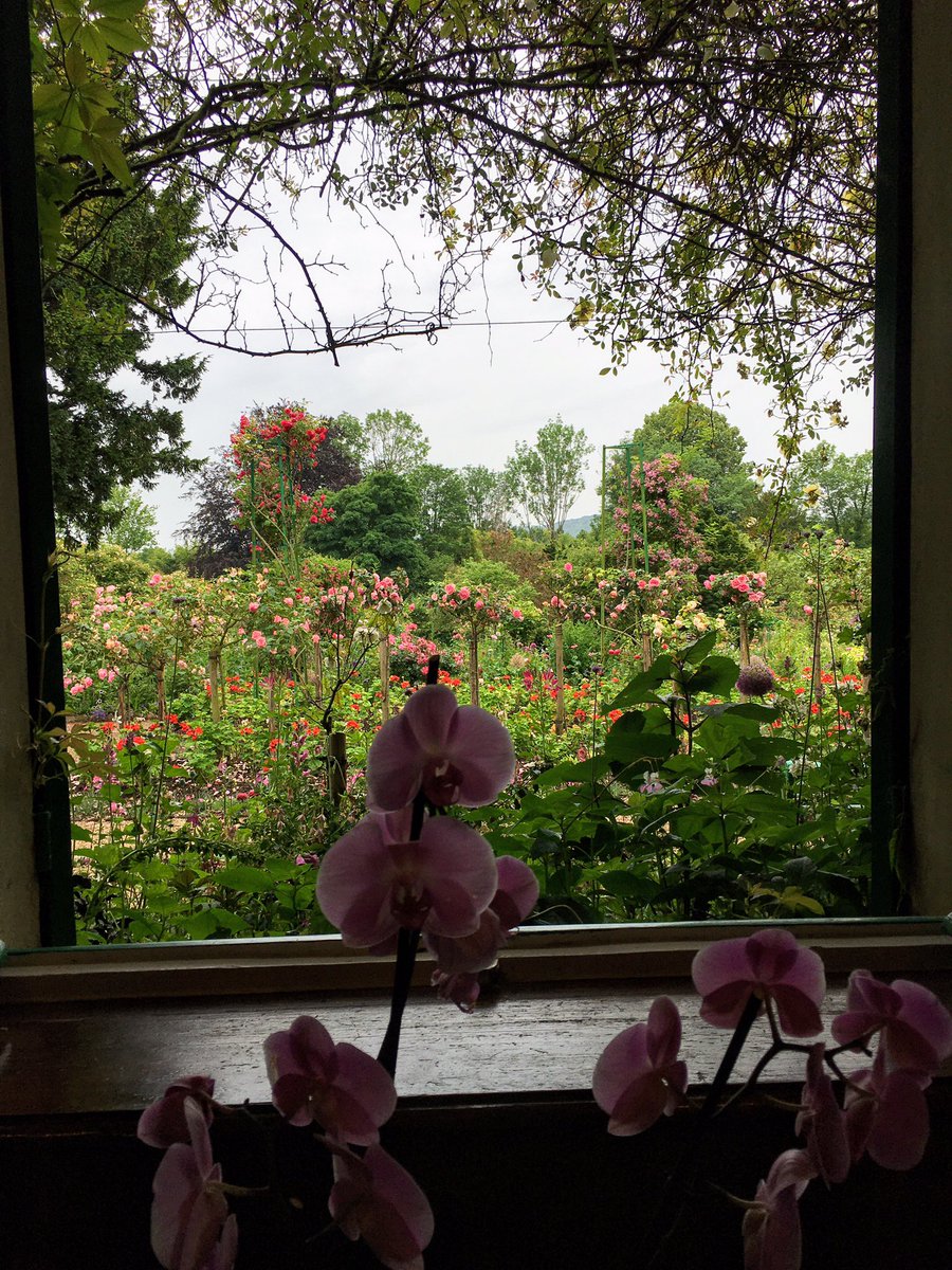 prune91833912's tweet photo. Balade fleurie dans  les jardins de Giverny - maison du peintre Claude Monet
#giverny #claudemonet #impressionism #peinture #impressionnisme #Normandie #France https://t.co/loZqPdwT2M