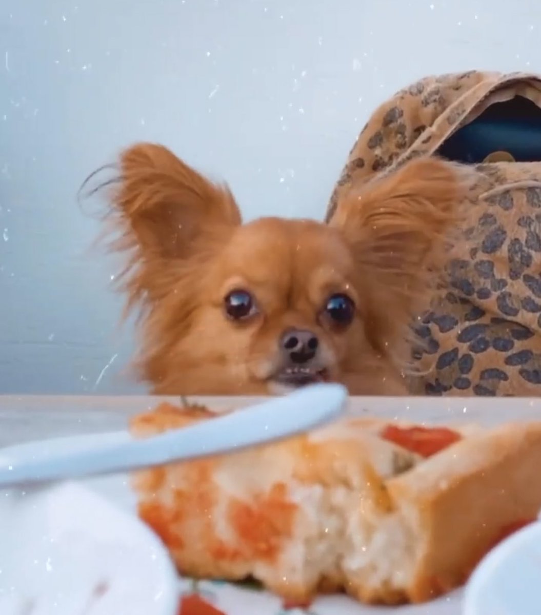 sen bi ufag tirstn sanqi 😏<a href="/aybukepusat/">Psikopat</a>