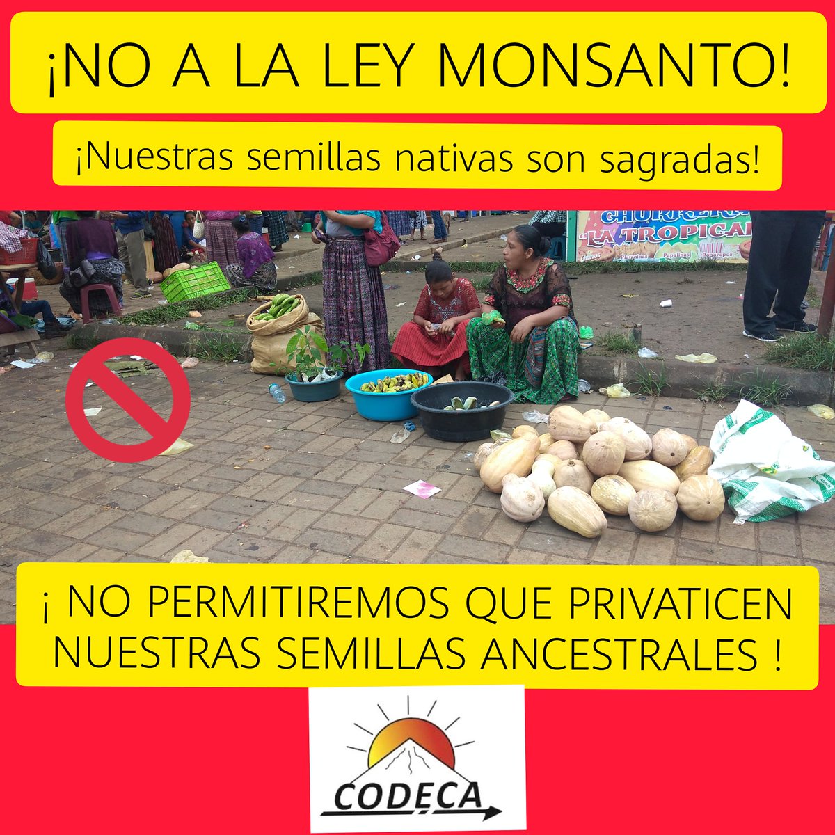 CodecaV's tweet image. ¡No a la ley MONSANTO!