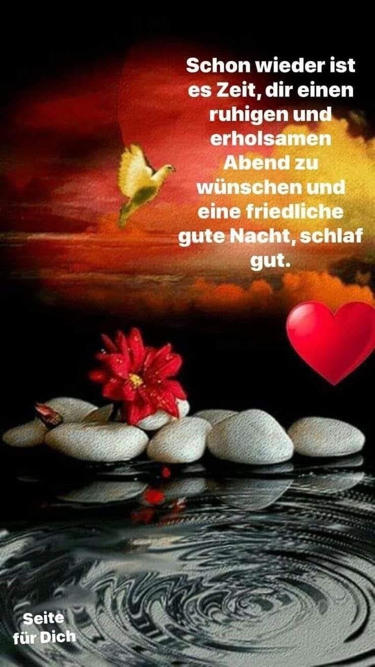 Kristina on X: @RenateK19 Viele lieben Dank für Deinen wunderschönen  Abendgruß, liebe Renate,ich wünsche Dir auch einen schönen und entspannten  Montagabend. Genieße die restlichen Stunden des Tages und mach es Dir  gemütlich.
