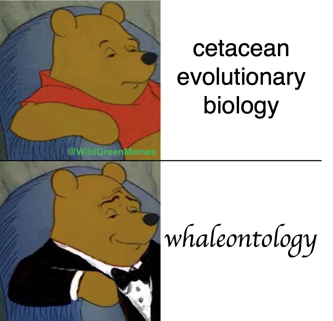 Wild Green Memes for Ecological Fiends tweet media